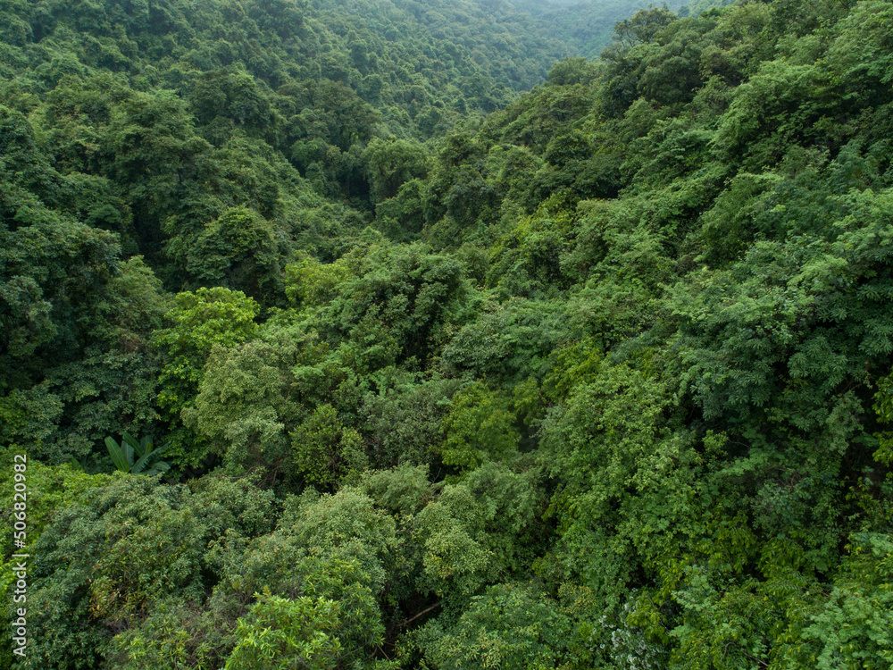 Aerial view of beautiful forest mountain landscape