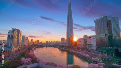 Time lapse 4k, Cherry blossoms in Spring colorful after sunset at Lotte World Tower in Seoul,South Korea.