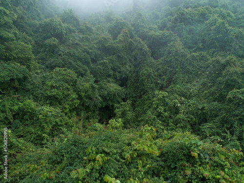 Aerial view of beautiful forest mountain landscape © lzf