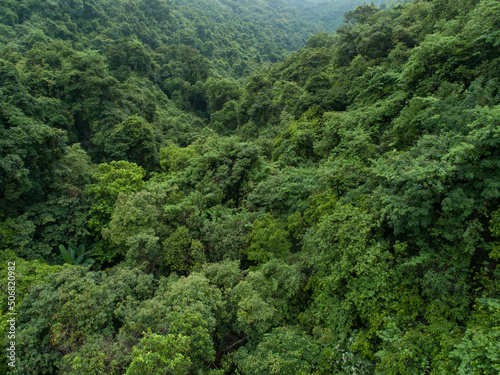 Aerial view of beautiful forest mountain landscape