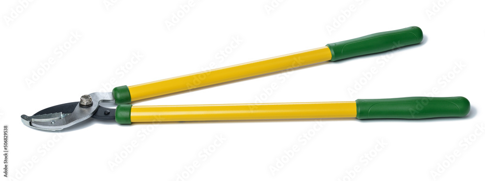Large garden pruner for cutting branches on trees isolated on white background Large garden pruner for cutting branches on trees isolated on white background