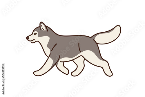 Cartoon husky illustration. Childish print for nursery, kids apparel, poster, postcard, pattern.