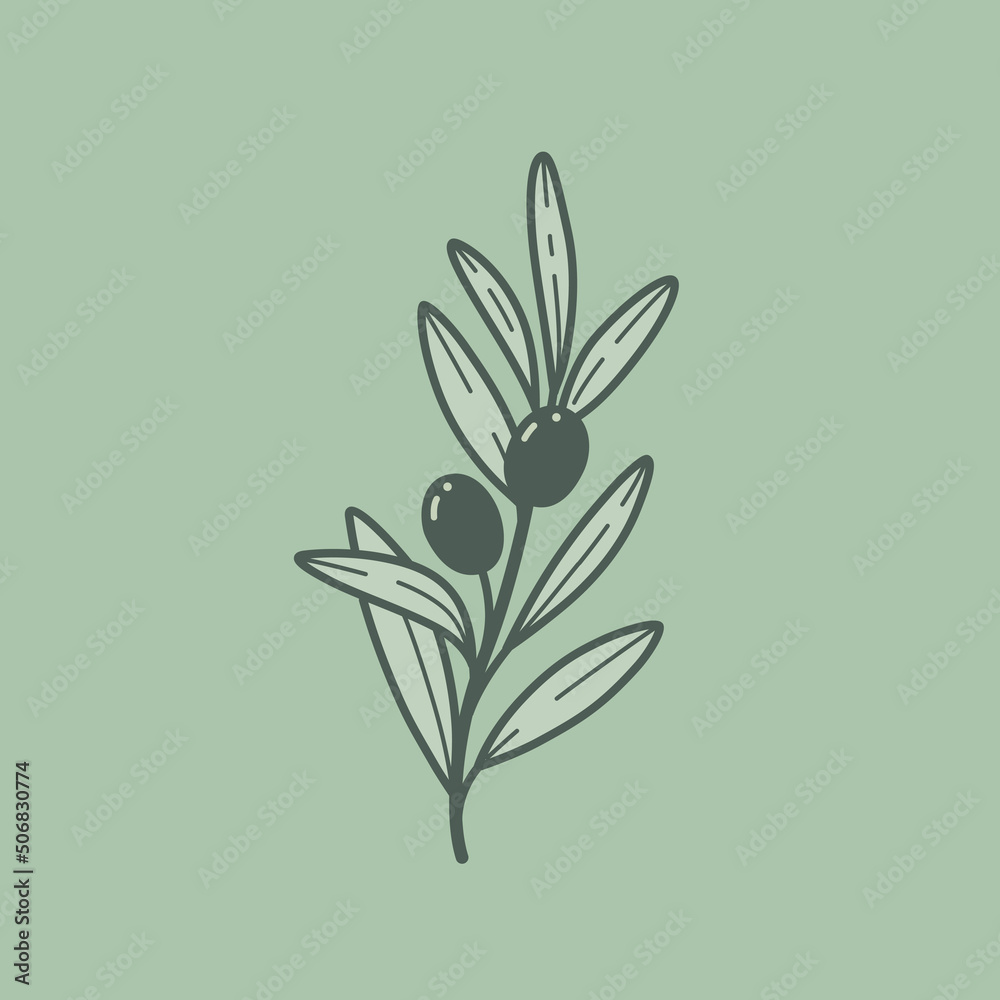 Vector logo design template - branch of olive. Contour vector illustration for logo, emblem, badge, insignia.