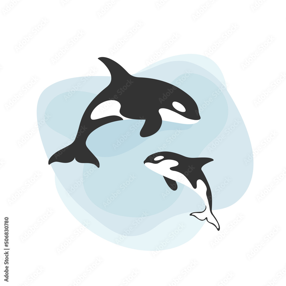 Obraz premium Killer whale, orcinus orca. Female with calf. Сute animal character. Vector background with text space.