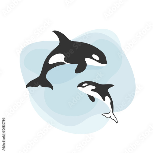 Killer whale  orcinus orca. Female with calf.   ute animal character. Vector background with text space.