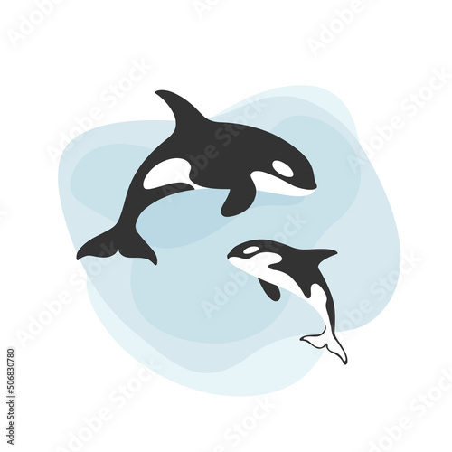 Killer whale, orcinus orca. Female with calf. Сute animal character. Vector background with text space.