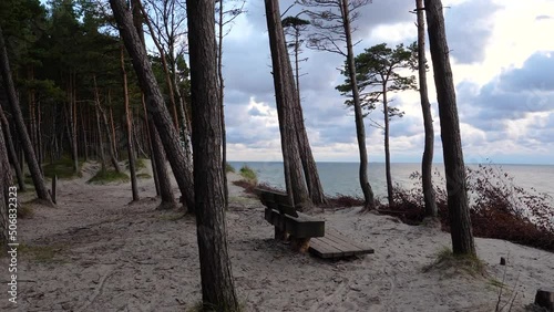 Baltic sea coastline at twilight. Wooden bench in the woods on the sea shore at dusk. Baltic seashore near Klaipeda in Lithuania , at the place named 