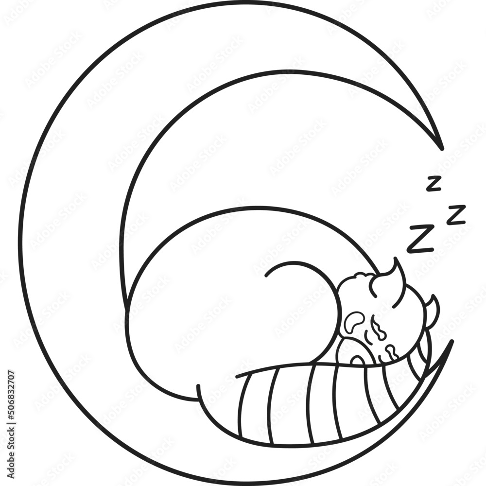 Cute and chubby red panda. Vector line for postcards, for printing, for design, for posters, for decoration. Can be used as stickers or coloring books. As a way to express your emotions. Cute and chubby red panda. Vector line for postcards, for printing, for design, for posters, for decoration. Can be used as stickers or coloring books. As a way to express your emotions.