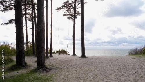 A wooden swing hanging between two pine trees growing on sandy hillside. Beautiful sunset on the Baltic sea at 