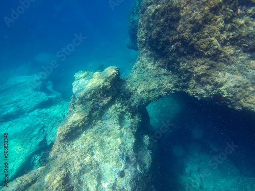 Underwater landscape with fishes and wildlife in the Adriatic Sea of Salento  Apulia Italy