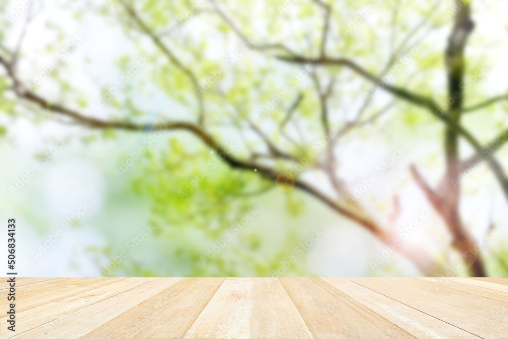 Wooden table on green tree and green leaves in rainy day soft focus blurred background Wooden table on green tree and green leaves in rainy day soft focus blurred background
