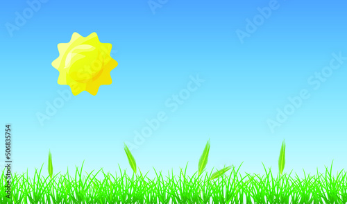 Vector border of cereal grasses. Rural landscape with grass, blue sky and bright sun