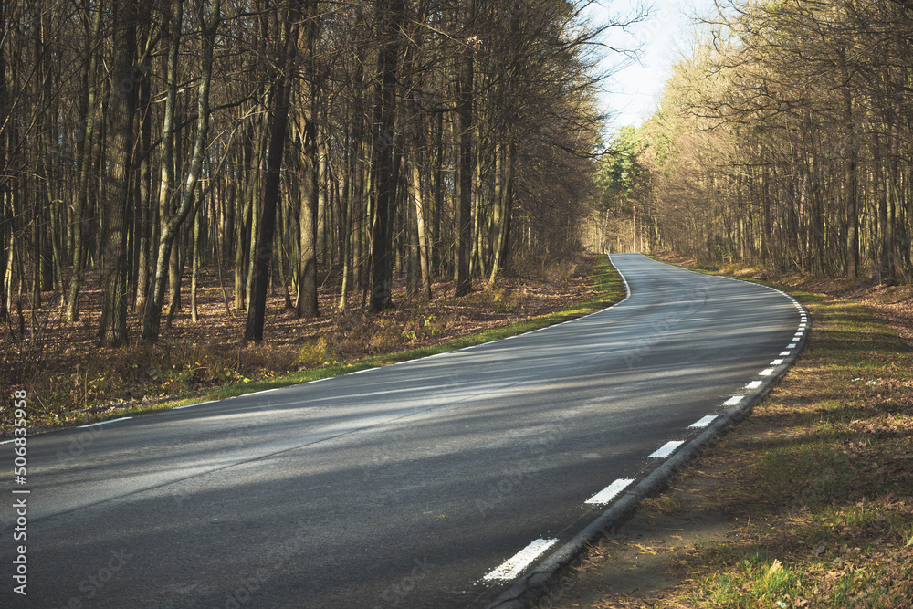Fototapeta premium Asphalt road with a curve through a dark forest