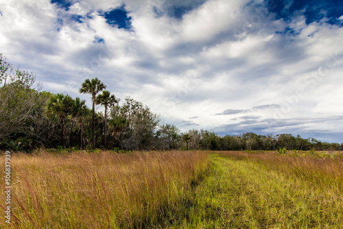 Kissimmee Prairie Preserve State Park  Florida