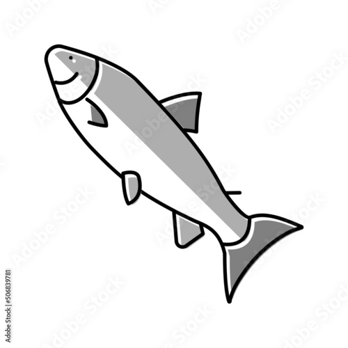 atlantic salmon color icon vector illustration