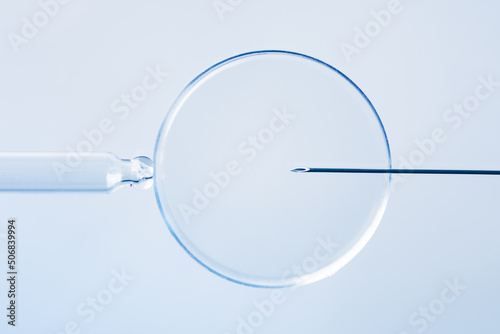 In vitro fertilisation concept. Artificial insemination or fertility treatment macro photography. photo