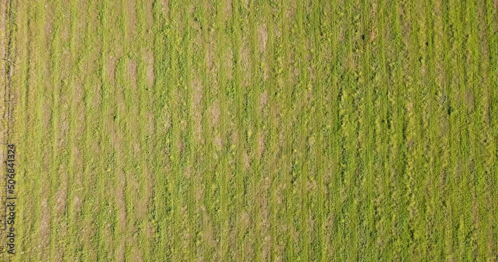 Top View Of Agricultural Land On A Sunny Summer Day. - aerial Top View Of Agricultural Land On A Sunny Summer Day. - aerial