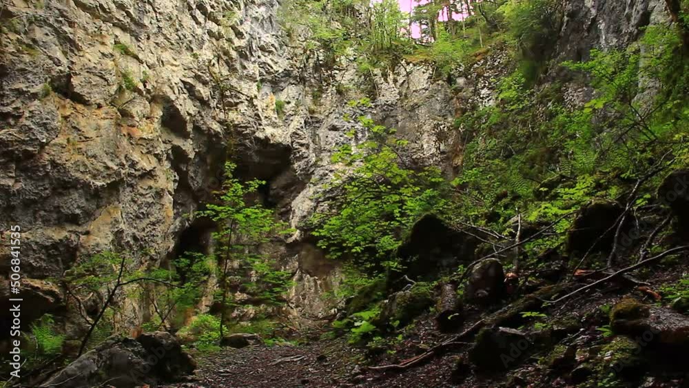 Wild nature. Wild river. No persons. Lost. Lonely. Wild nature. Wild river. No persons. Lost. Lonely.