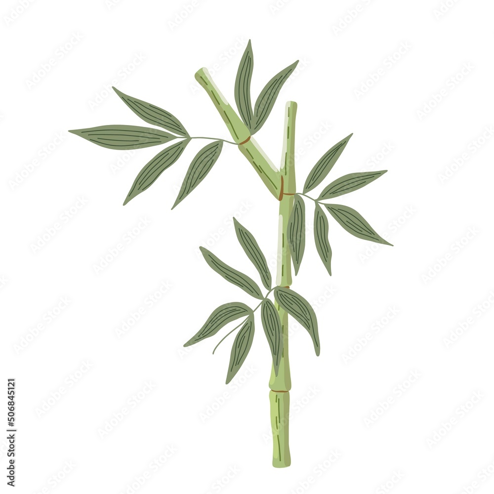 Fototapeta premium Bamboo leaves simple flat style vector illustration, traditional japanese plant, oriental decorative ornament for design, greeting card, template, banner, zen concept