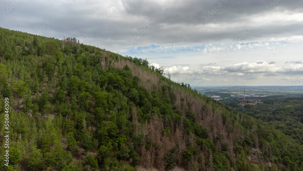 Wald Forrest Lonly Clouds good weather Train Sky Blue Green Trees Drone Wald Forrest Lonly Clouds good weather Train Sky Blue Green Trees Drone