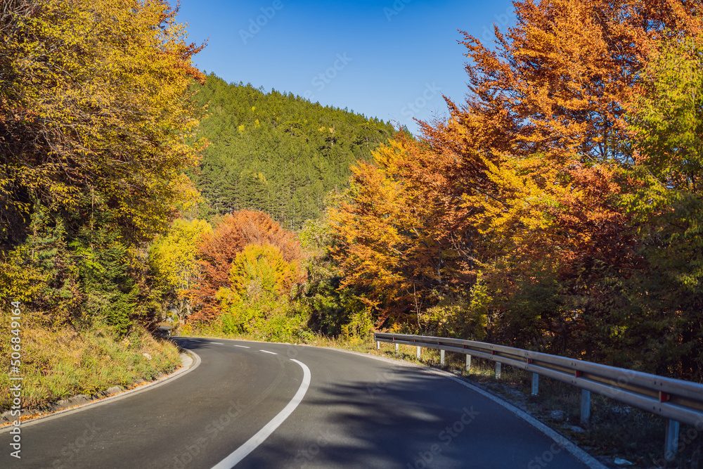 Beautiful autumn view of yellow trees, road and mountains, Montenegro Beautiful autumn view of yellow trees, road and mountains, Montenegro