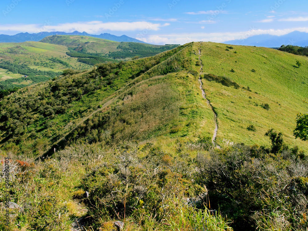 Fototapeta premium 秋の山(長野県 霧ヶ峰・鷲ヶ峰)