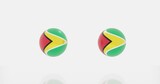 Guyana flag icon or symbols