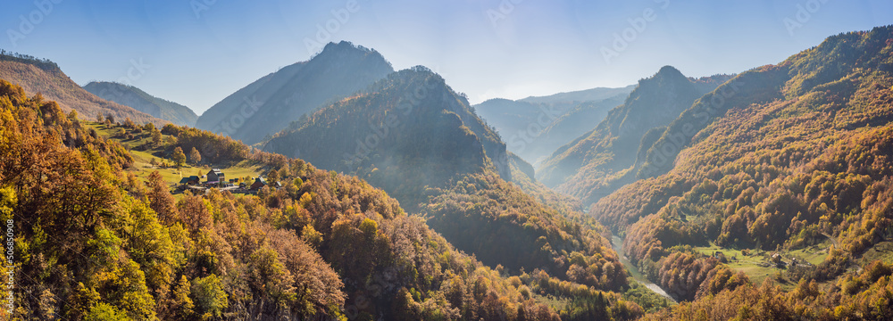 Mountain river Tara and forest in Montenegro. Travel around Montenegro concept - obrazy, fototapety, plakaty 