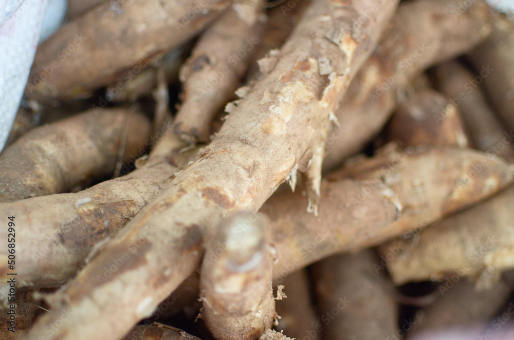 Venta de mandioca o yuca en puesto de verduras Venta de mandioca o yuca en puesto de verduras
