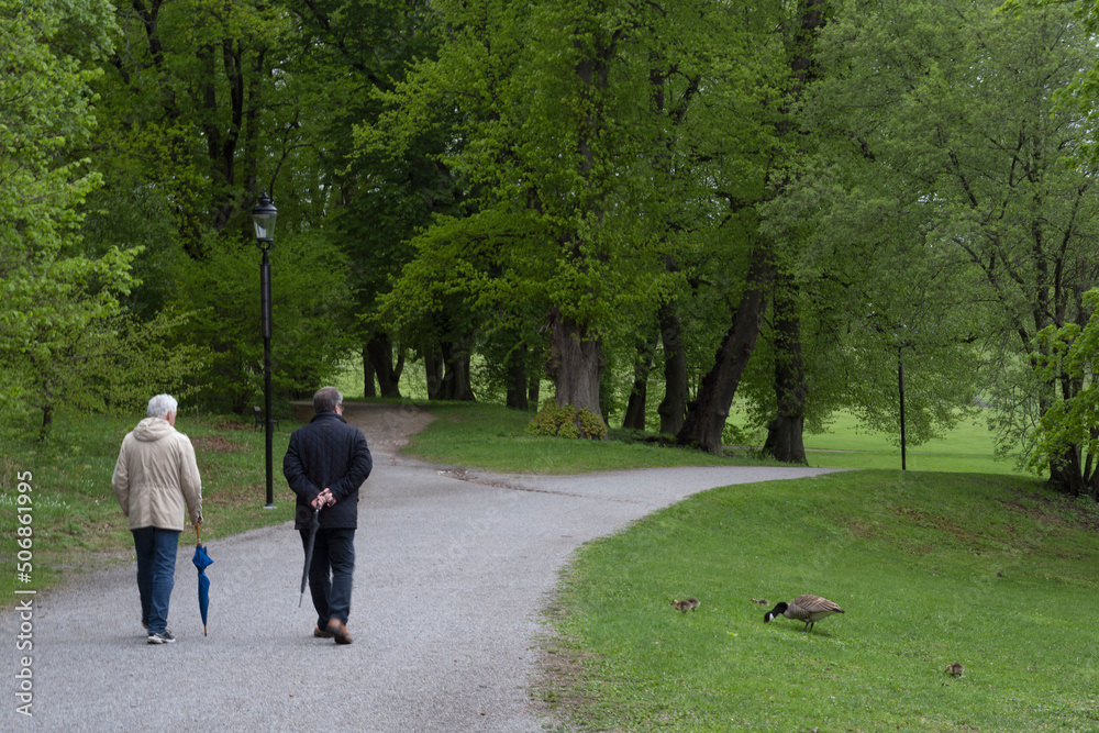 two elderly men walking in the park