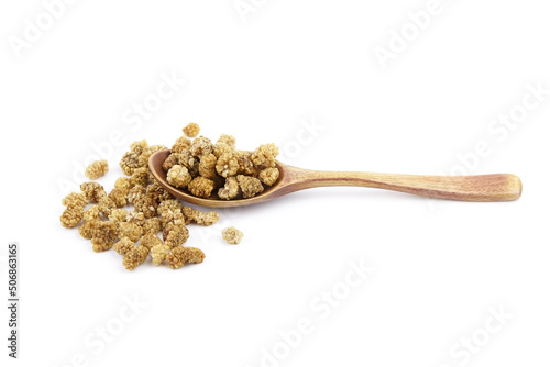 Mulberry dry berries morus alba in wooden spoon isolated on white