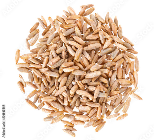 Rye grains isolated on white background. Pile of rye malt seeds close up. Dry grains of winter rye. Top view.