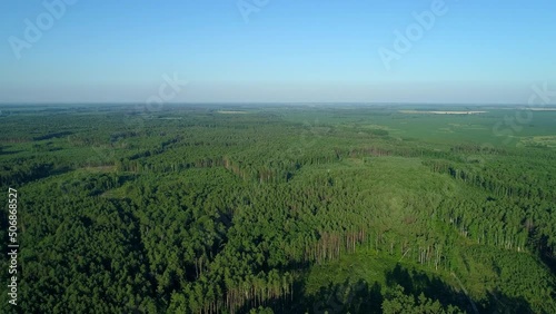 Wallpaper Mural Aerial view forest and deforestation in summer. Drone flying over green trees in sunny day. Drone shot over trees cut down. Ecological catastrophe of the entire planet earth, environmental pollution Torontodigital.ca