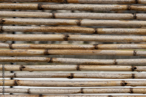 Background of old bamboo canes