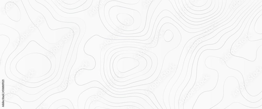 Luxury white abstract line art, topographic background and texture, monochrome image. 3D waves, cartography Background, white wave paper curved reliefs abstract background. Luxury white abstract line art, topographic background and texture, monochrome image. 3D waves, cartography Background, white wave paper curved reliefs abstract background.