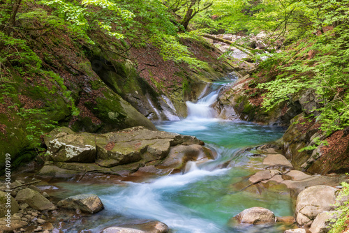 新緑の西沢渓谷ハイキング