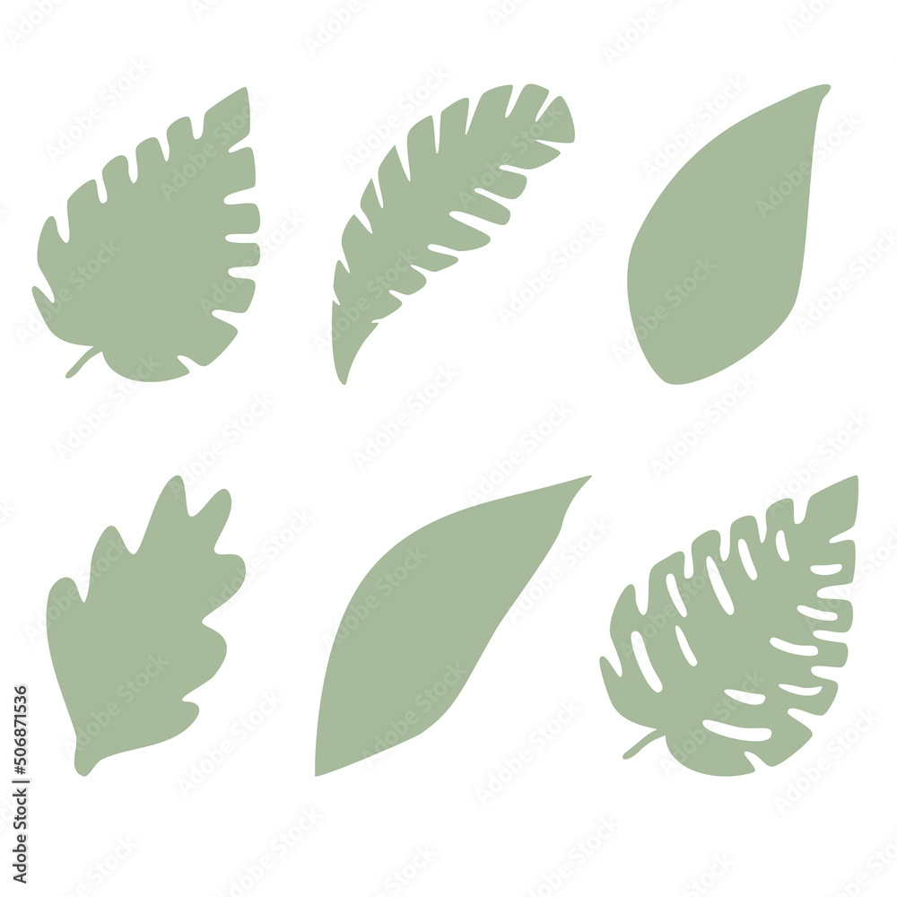 Set of palm green tropic leaves silhouettes isolated on white background. Vector. Leaves different shapes in flat style