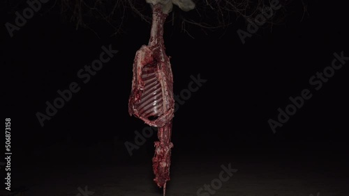Deer skeleton hanging from a tree swaying in the wind