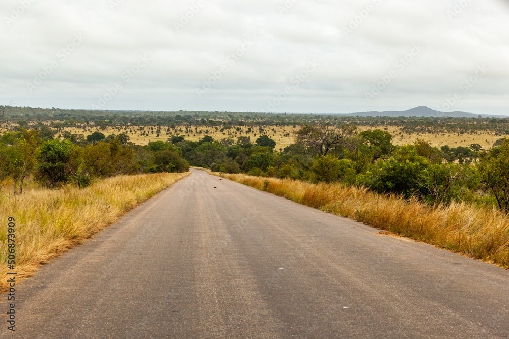 The tar road between Olifants and Satara rest camps, Kruger park, South Africa.