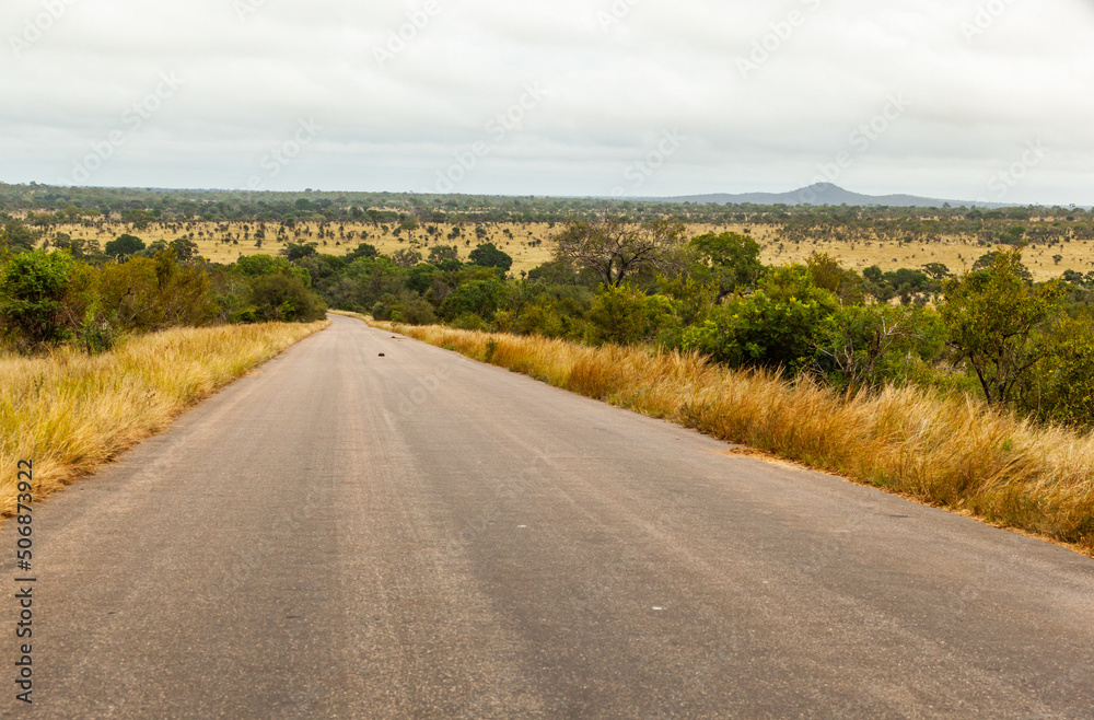 The tar road between Olifants and Satara rest camps, Kruger park, South Africa.