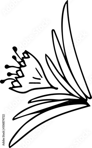 Artistic Studio Vector