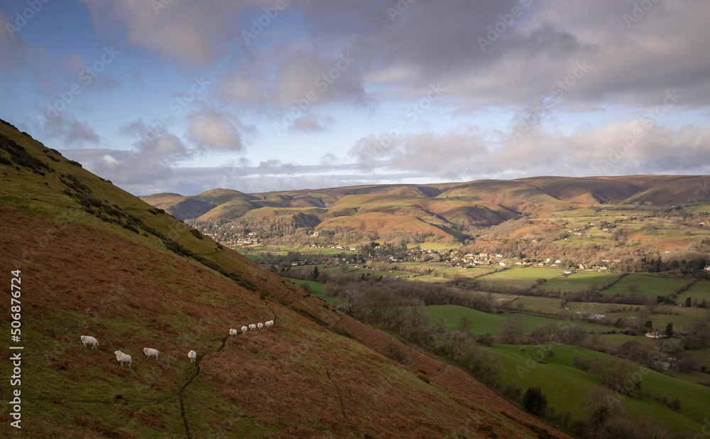 Aerial view of the Long Mynd in the Shropshire Hills with sheep on a trail Aerial view of the Long Mynd in the Shropshire Hills with sheep on a trail