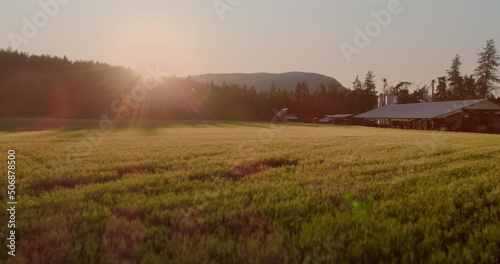 Image of farmhouse, field with trees and lake on sunny day