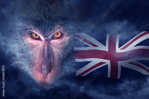Photography Wicked monkey portrait
