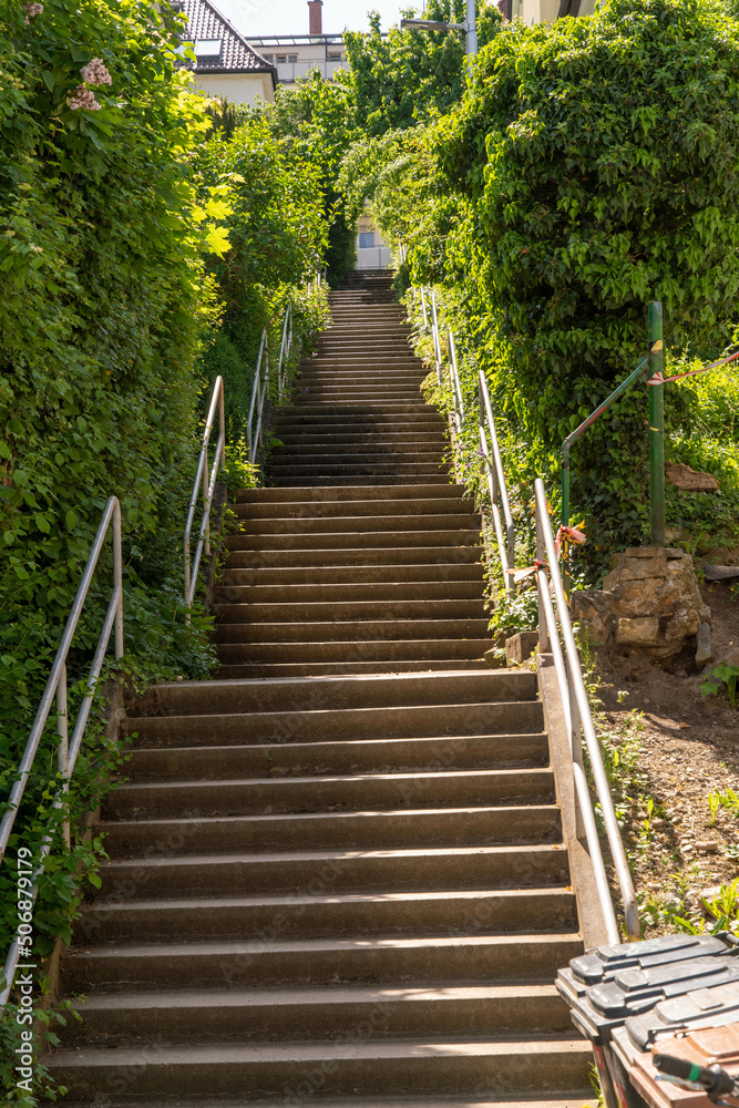 Steep stairs two green bushes with railing