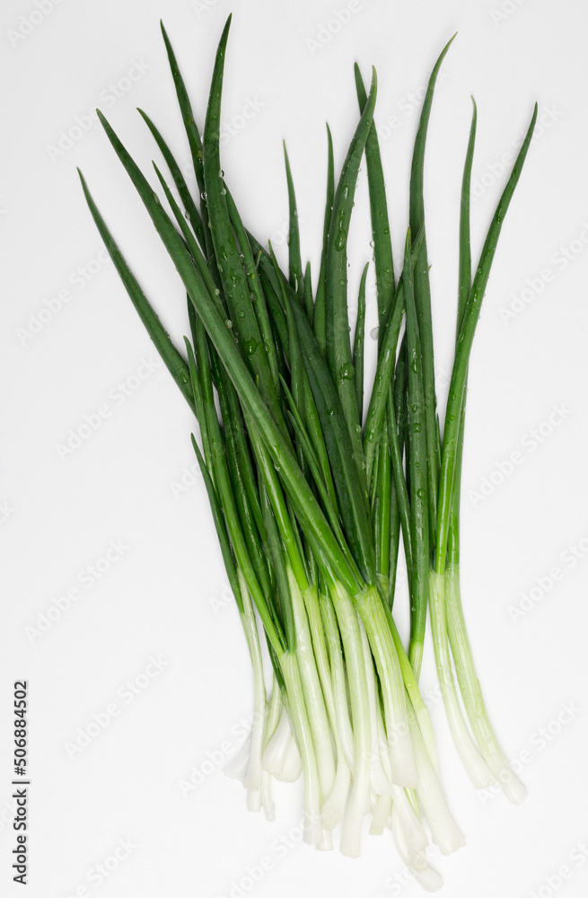 green chives onion against white background 