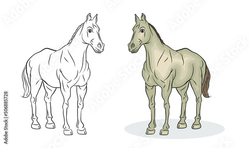 Animals. Black-and-white and color image of a horse, coloring book for children. Vector image.