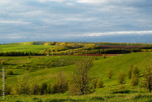 Beautiful landscape of expanses of green hills. Tatarstan, Russia © sorocka