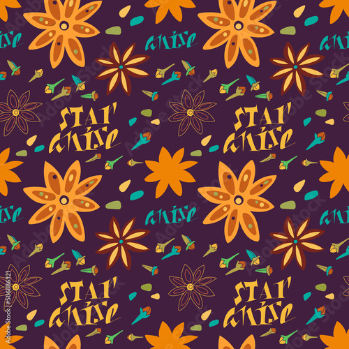 Seamless pattern with anise stars. Hand written for label, postcards, packaging, advertising. Vector illustration.