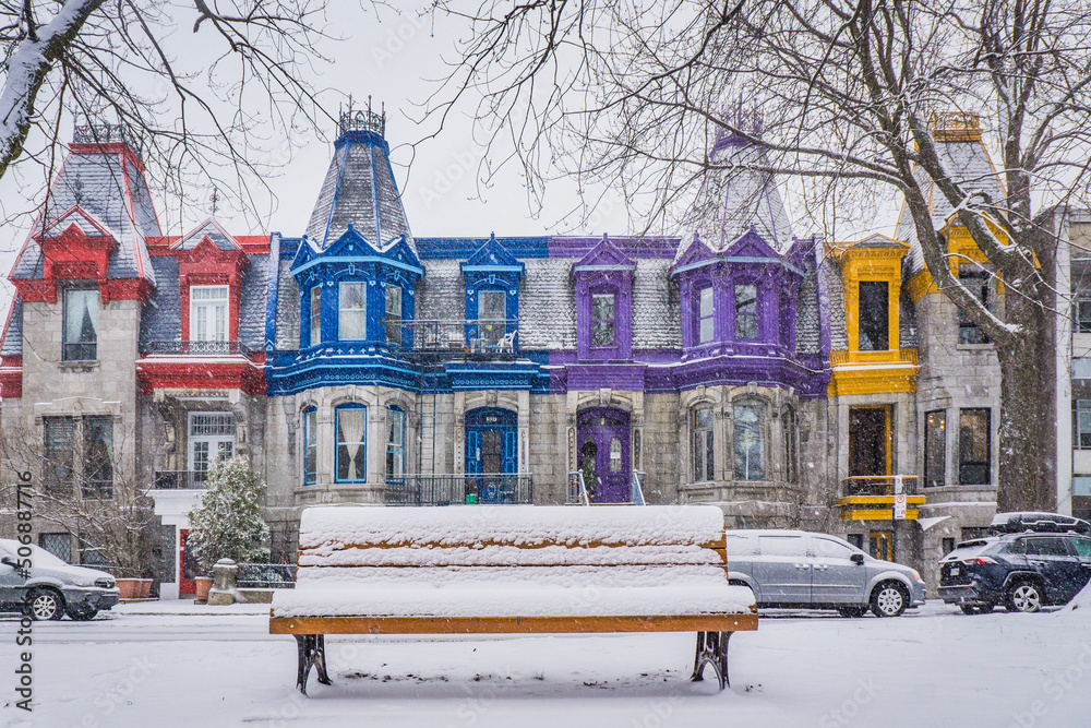 View on Carré Saint Louis colorful victorian houses on a snowfall day in Montreal, Quebec (Canada) - obrazy, fototapety, plakaty 